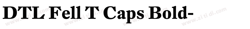 DTL Fell T Caps Bold字体转换